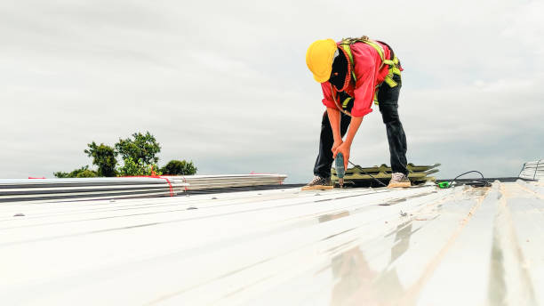 Best Skylight Installation and Repair  in Clinton, MS